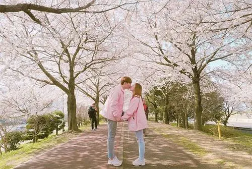 一生只爱一个人的句子