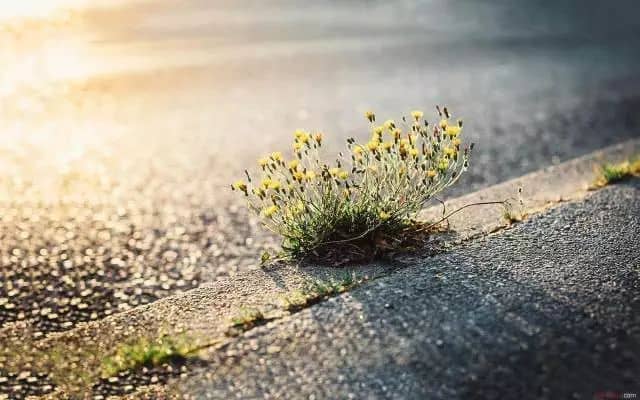 2021������ľ���