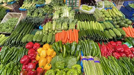 �߲˵�������η��� Ӧ�Դ�ʩ����Щ