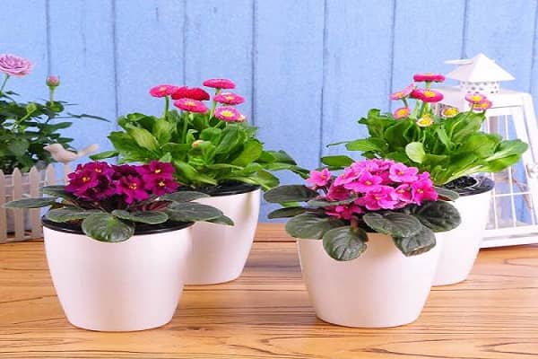 ���Ի�����ô�� ����ע����������Щ