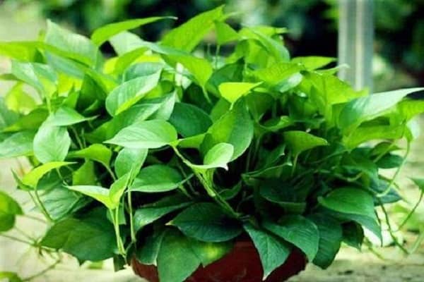 ����ʲôʱ�������ô�� ���ܸ���������ô��