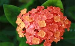 ���ٻ������������ô������ȫ�����ķ���