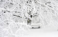 12˵˵Ị̇12õ˵˵