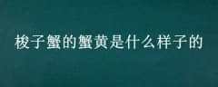 ззʲôӵ