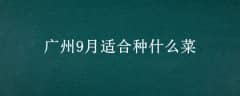 9ʺʲô