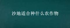 ɳʺʲôũ