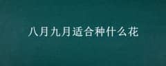 ¾ʺʲô
