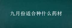 ·ʺʲôҩ