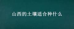 ɽʺʲô