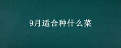 9ʺʲô