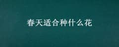 ʺʲô