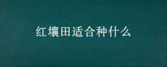 ʺʲô