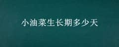 СͲڶ