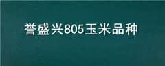 ʢ805Ʒ