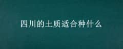 Ĵʺʲô