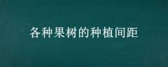 ֲֹ