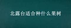 ¶̨ʺʲô