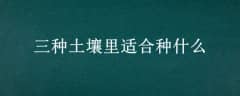 ʺʲô