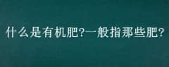 ʲôл?һָЩ?