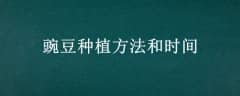 㶹ֲʱ