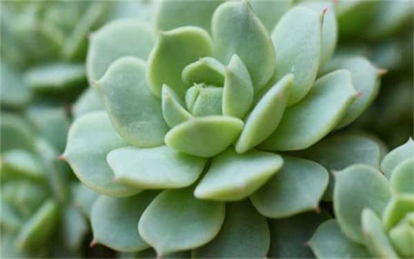 ���⽽ˮ��ô�� �����ȷ��ˮ