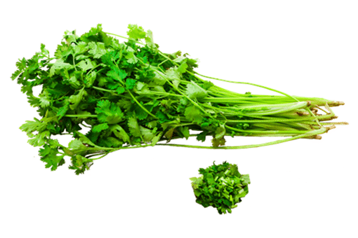 ��˵Ĺ�Ч����������Щ