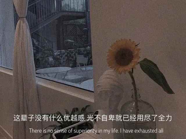 簲һ仰