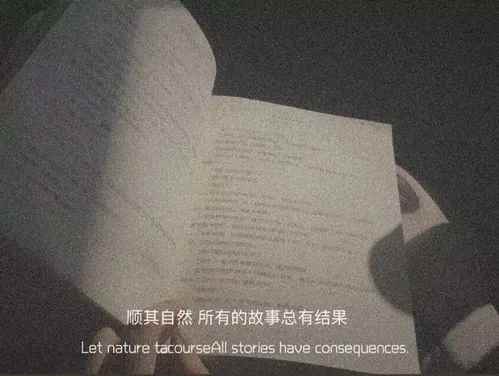 风雨兼程的精美短句