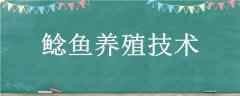 ֳ
