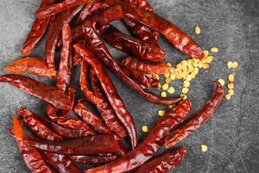 �������ӷ�ѿ����