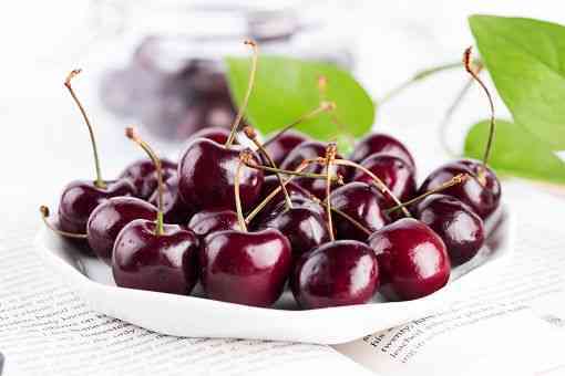 桑提娜车厘子和拉宾斯哪个好