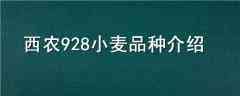 ũ928СƷֽ