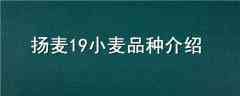 19СƷֽ