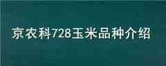 ũ728Ʒֽ