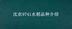 ũ9741ˮƷֽ