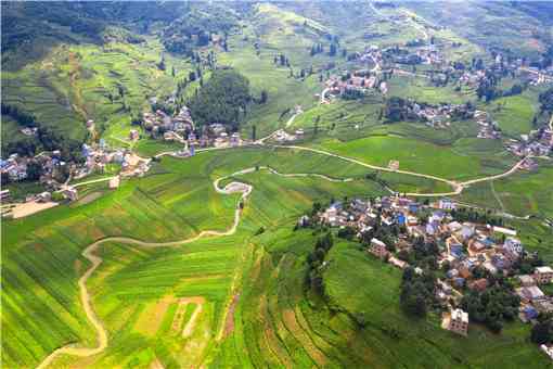 数字乡村发展行动计划