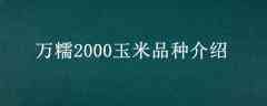 Ŵ2000Ʒֽ