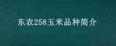 ũ258Ʒּ