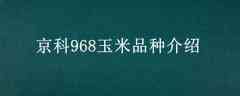968Ʒֽ