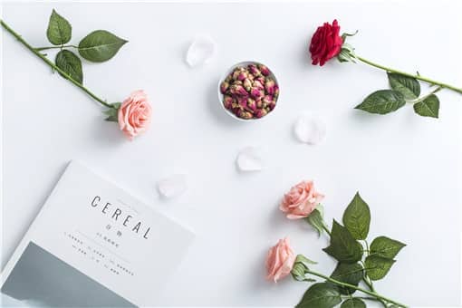 情人节玫瑰送什么颜色