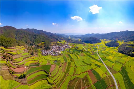 �߼��ﳤ��