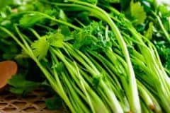 ������������������գ�Ϊʲô�ܶ���������ˣ�����ϸԭ��