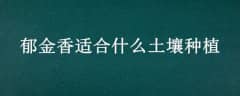 ʺʲôֲ