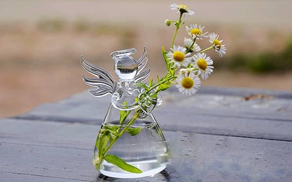 ˮ��ֲ����ô��