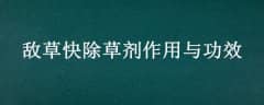 вݿݼ빦Ч