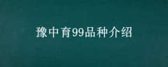 ԥ99Ʒֽ