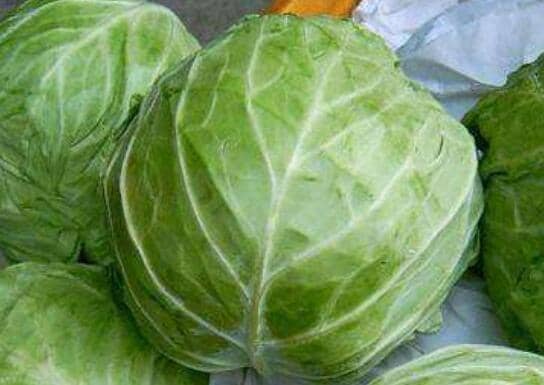 包心菜的功效与作用及禁忌有哪些