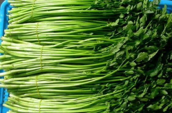 ���۲˺�Ұ�۲˵����� Ұ�۲˵Ĺ�Ч������