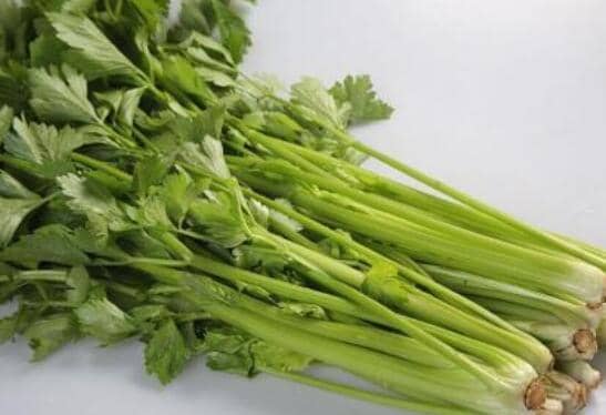 白芹菜和绿芹菜的区别 芹菜的功效