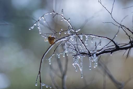 2022年还会冷多久